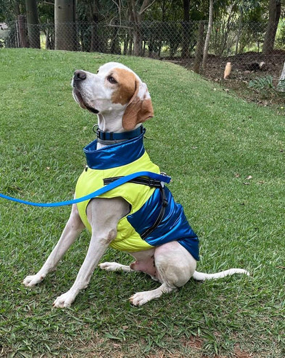 Roupinha - Colete Térmico para cachorros